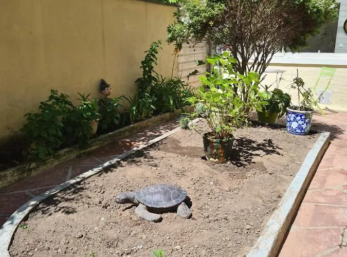 Maison De Pêcheur Typique Proche Hébergement de vacances